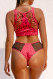 Creatures of XIX Shorts Safari Cheeky Bottoms Plum